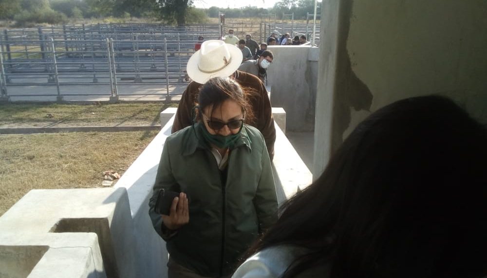 Brignole con funcionarios y colaboradores inspeccionaron y evaluaron la obra del matadero municipal