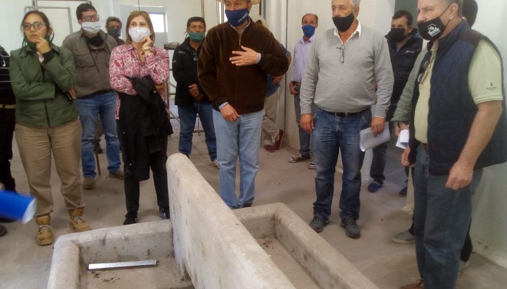 Brignole con funcionarios y colaboradores inspeccionaron y evaluaron la obra del matadero municipal