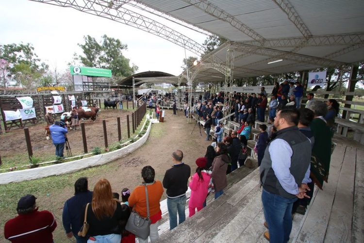 Por la pandemia, la Sociedad Rural decidió suspender la edición 2020 de la Expo Formosa