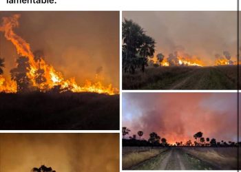 Cazadores furtivos y cuatreros provocaron incendio de pastizales en el Parque Nacional Río Pilcomayo