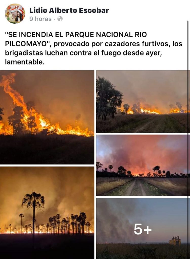 Cazadores furtivos y cuatreros provocaron incendio de pastizales en el Parque Nacional Río Pilcomayo