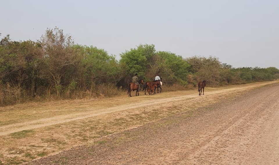 Este fin de semana, más de 6 mil personas visitaron Laguna Oca