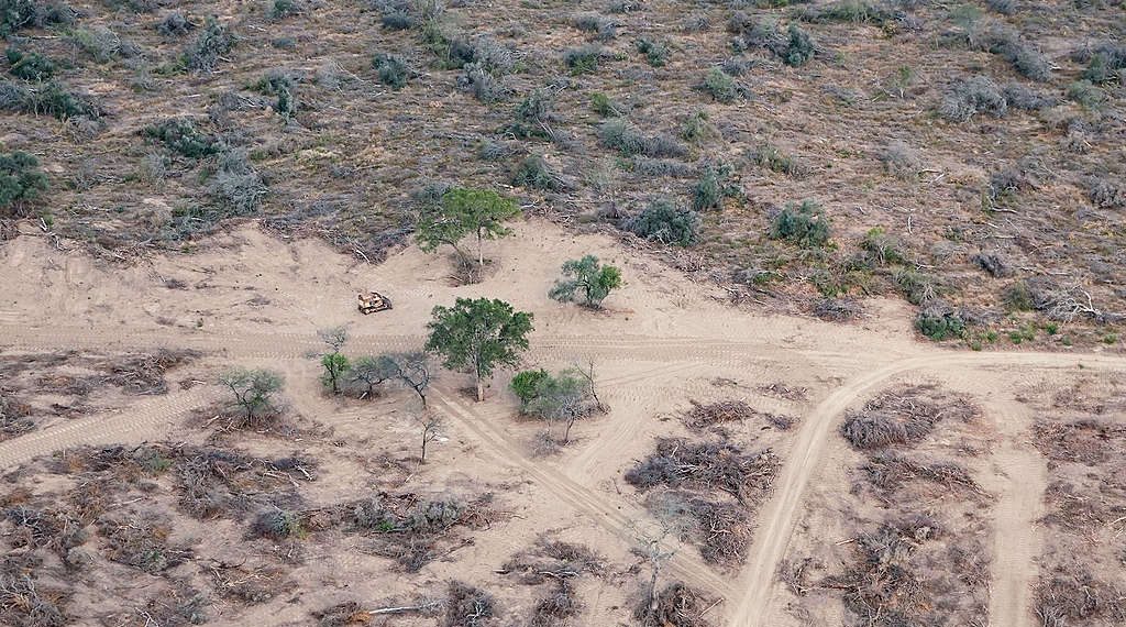 Greenpeace sobrevoló Formosa y documentó desmontes en diez fincas