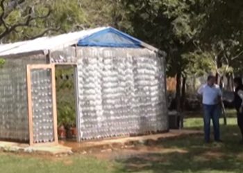 Cultivos hidropónicos, una buena alternativa productiva incluso para autoconsumo