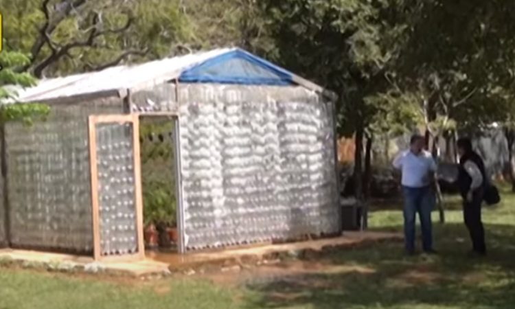 Cultivos hidropónicos, una buena alternativa productiva incluso para autoconsumo