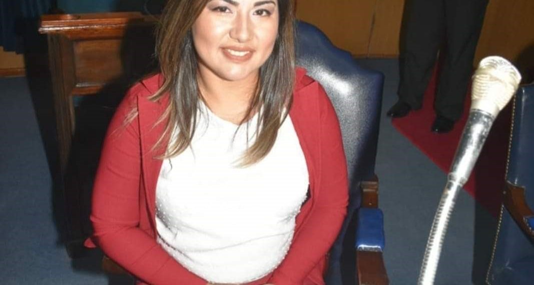 Diputada Tassel busca apoyo del PJ para que flexibilicen el bloqueo en Clorinda