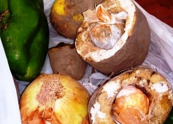 La Policía secuestró droga «dentro de una papa, destinada a un preso»