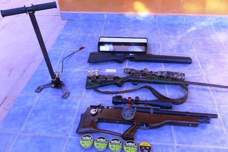 Detienen a un hombre por disparar a dos perros y matar a uno de ellos