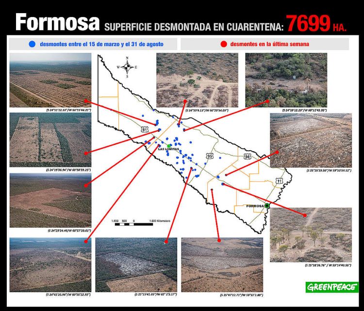 Greenpeace sobrevoló Formosa y documentó desmontes en diez fincas