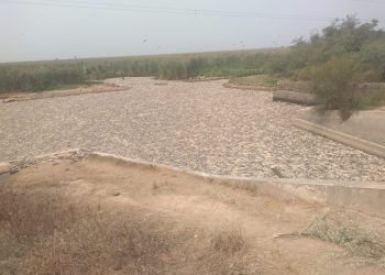 Denuncian «mortandad de peces» por «sequía y cierre de compuertas»