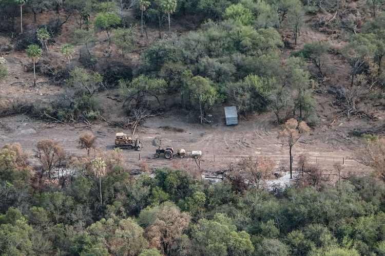 Greenpeace sobrevoló Formosa y documentó desmontes en diez fincas