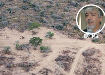 Desmontes denunciados por Greenpeace: “Se disfrazan de ambientalistas, pero son políticos”, dijo Hugo Bay