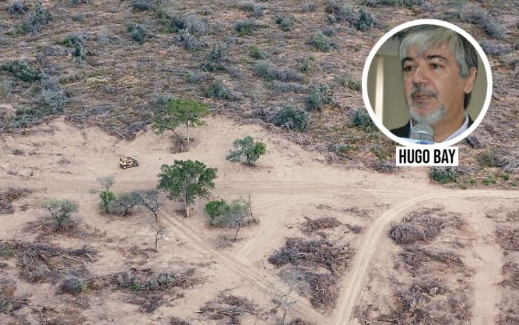 Desmontes denunciados por Greenpeace: “Se disfrazan de ambientalistas, pero son políticos”, dijo Hugo Bay