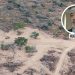 Desmontes denunciados por Greenpeace: “Se disfrazan de ambientalistas, pero son políticos”, dijo Hugo Bay