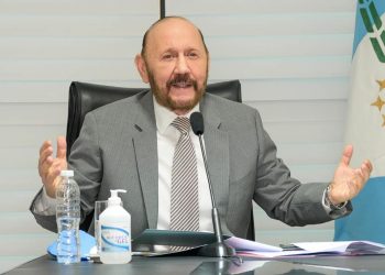 Insfrán consideró “insensatos” a quienes judicializan su regreso a la provincia
