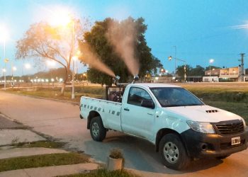 Formosa reporta dos casos de dengue y ninguno de coronavirus