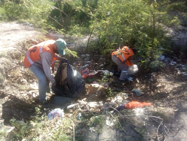 Buscan recuperar el riacho El Pucú como un lugar para el disfrute de la naturaleza
