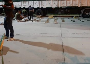 Entre zapallos y batatas, un camión que salió de Formosa, llevaba 200 kg de marihuana