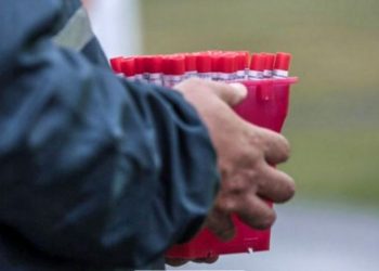 Con 410 test de hoy, Formosa se acerca a los 30 mil hisopados