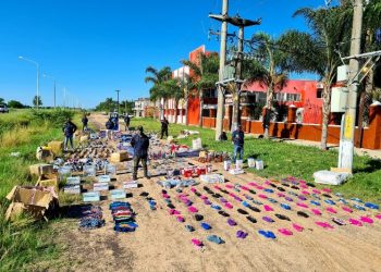 PFA incautó millonario contrabando de un camión de encomiendas