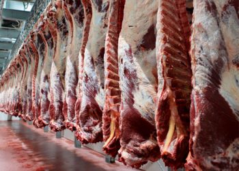 El kilo de asado aumentó 93% en un año en la Ciudad y el Gran Buenos Aires