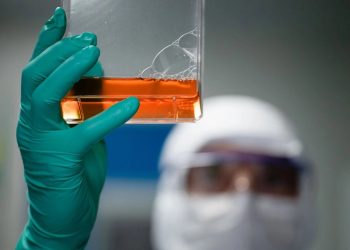 Coronavirus: el suero equino estará disponible la semana que viene