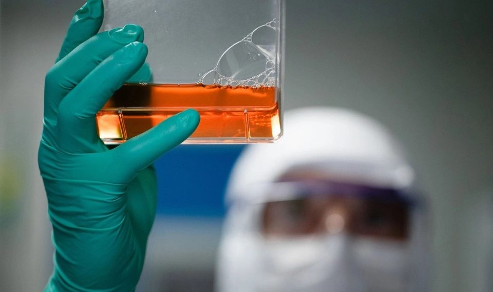 Coronavirus: el suero equino estará disponible la semana que viene