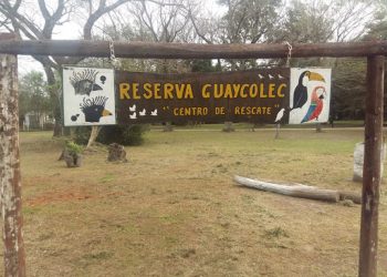 Un empleado de Guaycolec que vive en Circuito 5 dio positivo a covid