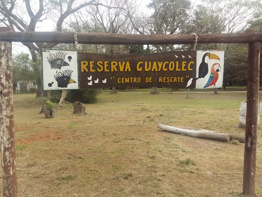 Un empleado de Guaycolec que vive en Circuito 5 dio positivo a covid