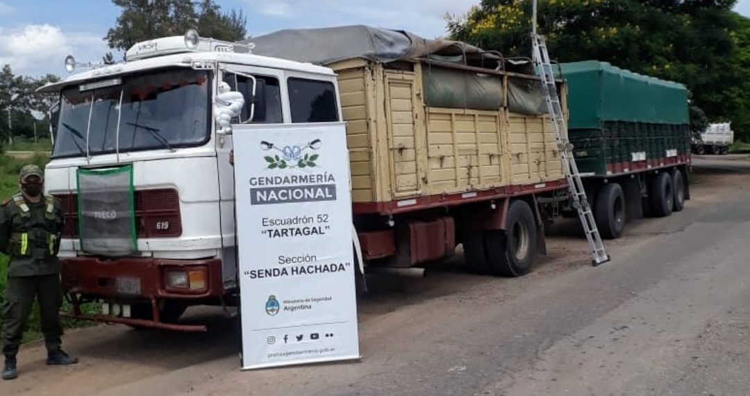 Gendarmería decomisó 107 toneladas de soja ilegal y 30 toneladas de maíz