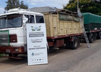 Gendarmería decomisó 107 toneladas de soja ilegal y 30 toneladas de maíz