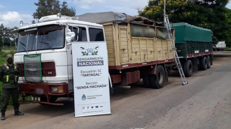 Gendarmería decomisó 107 toneladas de soja ilegal y 30 toneladas de maíz