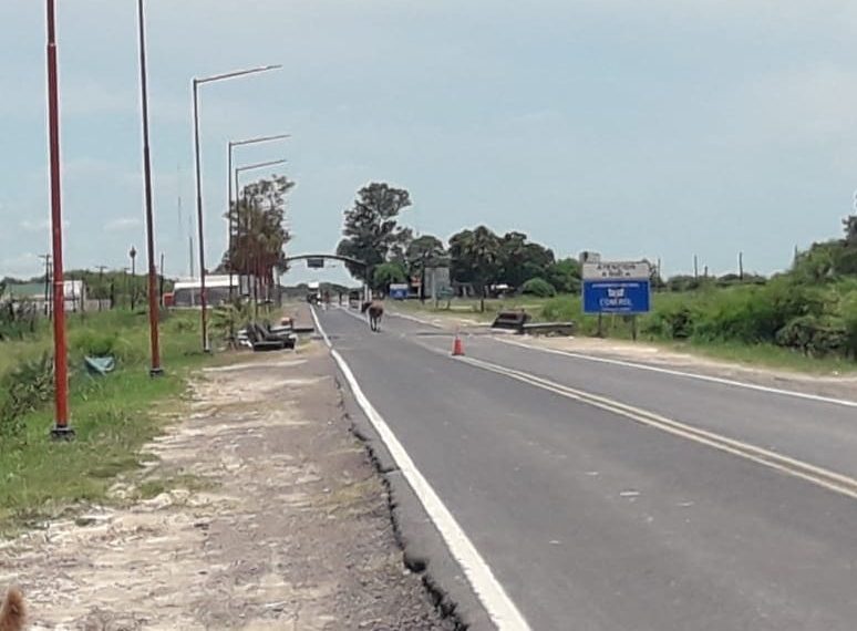 Establecen pautas sanitarias de ingreso y egreso con el nuevo protocolo