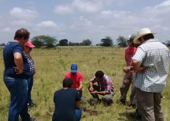 La agroecología como modo de arraigo y dignidad en la vida de campo