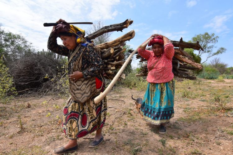 Formosa: ¿por qué se esconden las mujeres wichí?