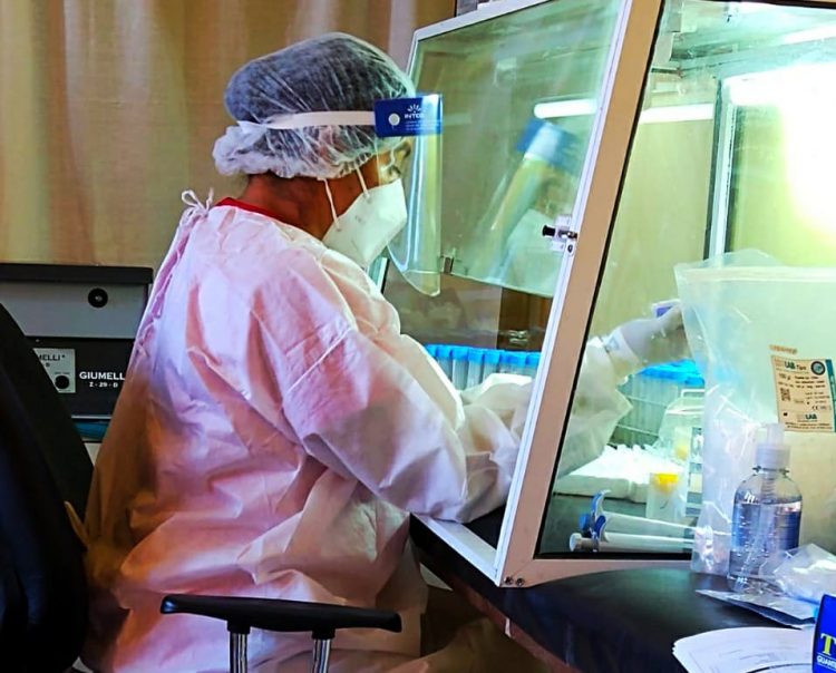 Advierten por circulación viral en aumento, informan 58 casos y 2 fallecidos