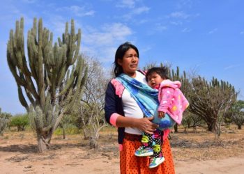 Formosa: ¿por qué se esconden las mujeres wichí?