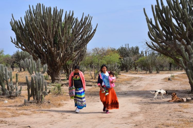 Formosa: ¿por qué se esconden las mujeres wichí?