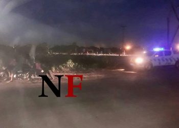 Hallaron restos de un recién nacido que tiraron a la basura