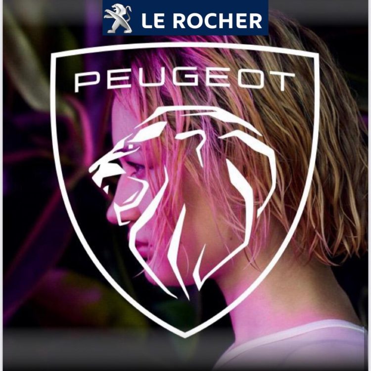 Diputado Carbajal se filmó rompiendo carteles que atacan a la oposición