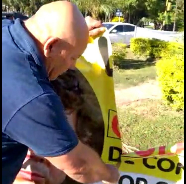 Diputado Carbajal se filmó rompiendo carteles que atacan a la oposición