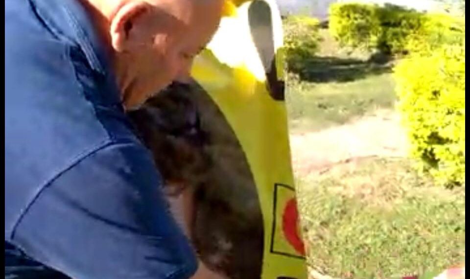 Diputado Carbajal se filmó rompiendo carteles que atacan a la oposición