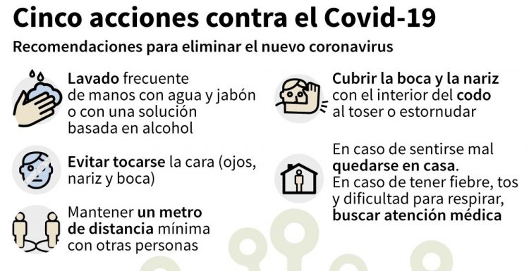 El eucaliptus no previene o elimina el coronavirus, pero sí ayuda a combatir sus síntomas