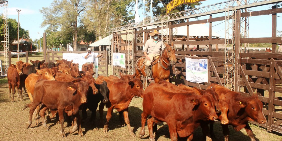 Productores formoseños rechazan el cierre de la exportación de carne