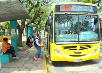 Choferes quieren vacunas, sino paralizan el servicio