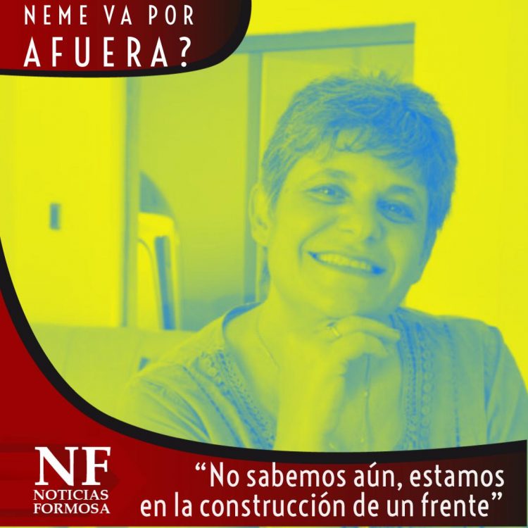 Neme afirmó que construyen un frente “para derrotar a Insfrán”