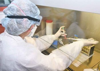 El Gobierno aseguró que está logrando contener el avance del coronavirus