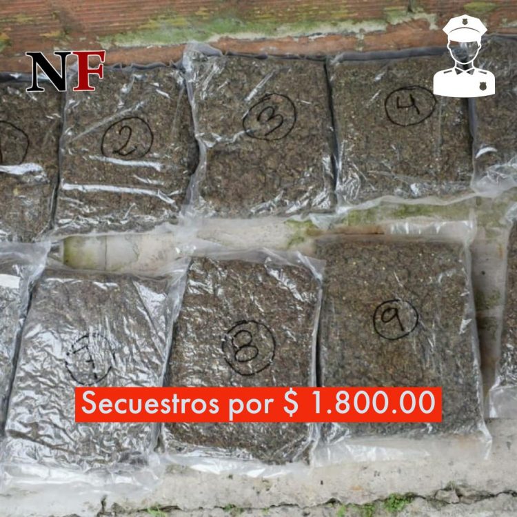 Una mujer de 22 años líder de banda narco con marihuana valuada en 1.800.000 pesos