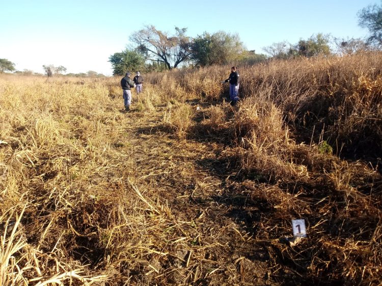 Hallaron restos óseos de un hombre desaparecido desde el 10 de marzo
