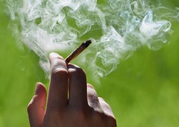 Estuvo un año preso por dos “porros” de marihuana